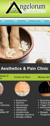 angelorumpr.com